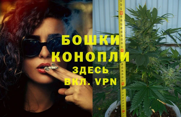 Альфа ПВП Гусев