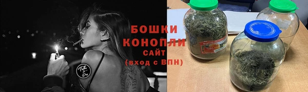 Альфа ПВП Гусев