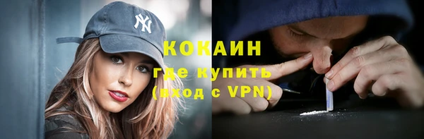 Альфа ПВП Гусев