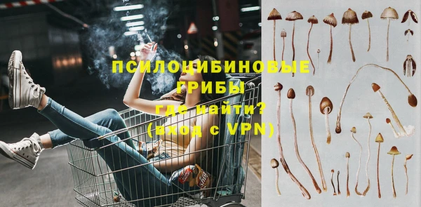 a pvp Горнозаводск
