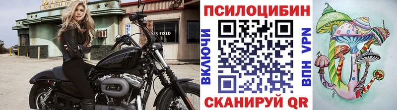 Псилоцибиновые грибы Magic Shrooms Демидов